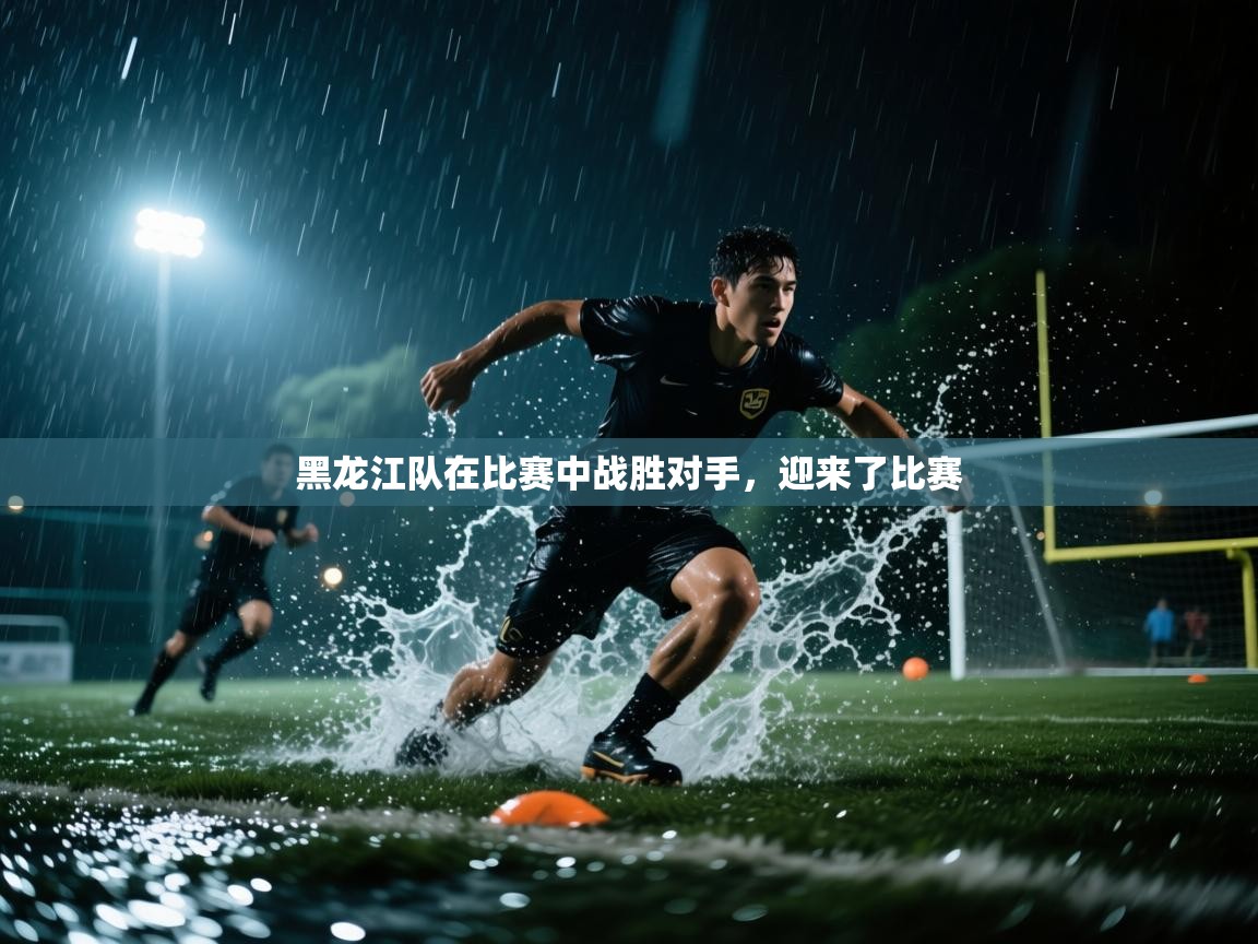 黑龙江队在比赛中战胜对手，迎来了比赛  第1张