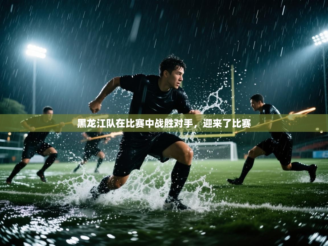 黑龙江队在比赛中战胜对手，迎来了比赛  第2张