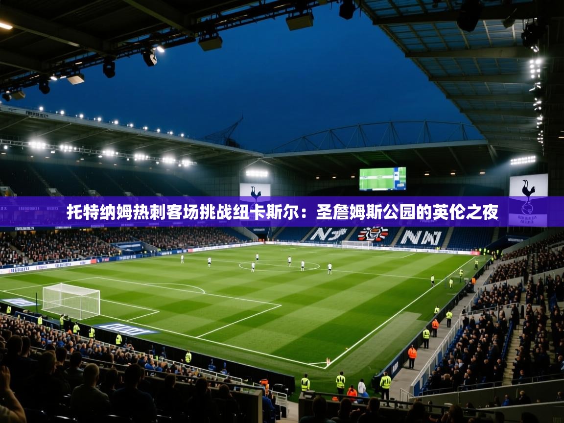 托特纳姆热刺客场挑战纽卡斯尔：圣詹姆斯公园的英伦之夜  第2张